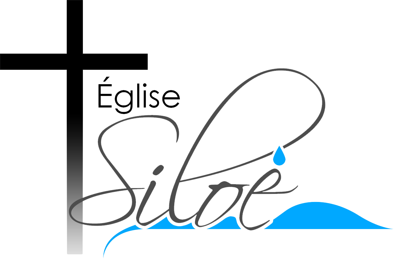 Logo SILOE
